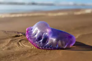 Práce O Víkendu Zákoník Práce