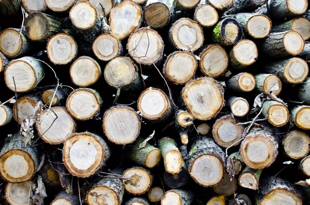 Koupelna Dřevo Kámen